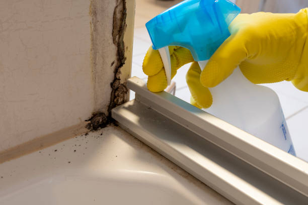  Columbia Heights, MN Mold Removal Pros