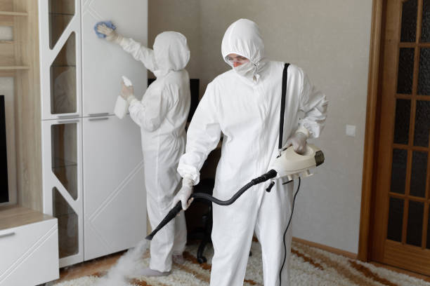 Columbia Heights, MN Mold Removal Company