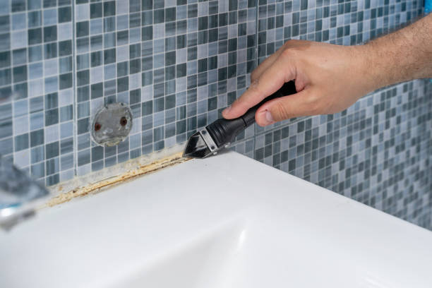 Best Mold Removal Company Near Me  in Columbia Heights, MN