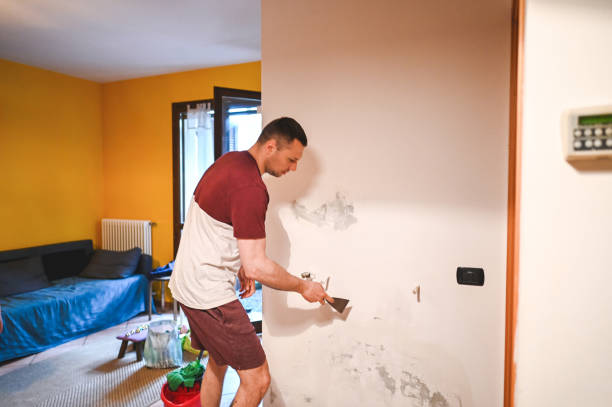 Best Best Mold Removal Companies  in Columbia Heights, MN